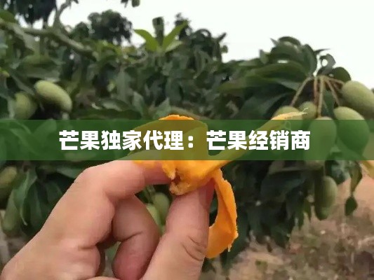 芒果独家代理:芒果经销商
