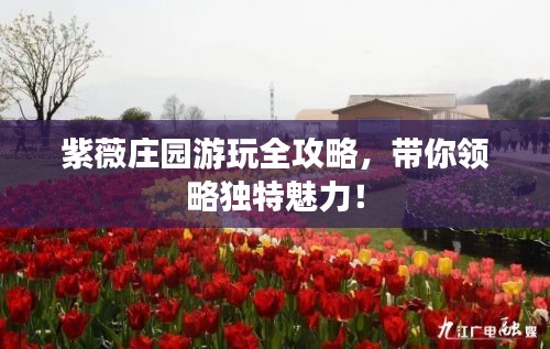 紫薇庄园游玩全攻略,带你领略独特魅力!