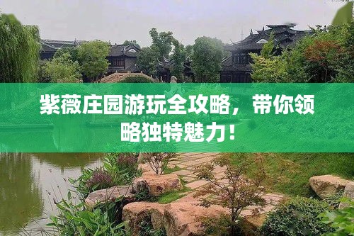 紫薇庄园游玩全攻略,带你领略独特魅力!
