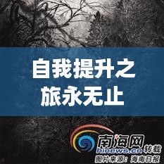 自我提升之旅永无止境,不断前行的成长之路