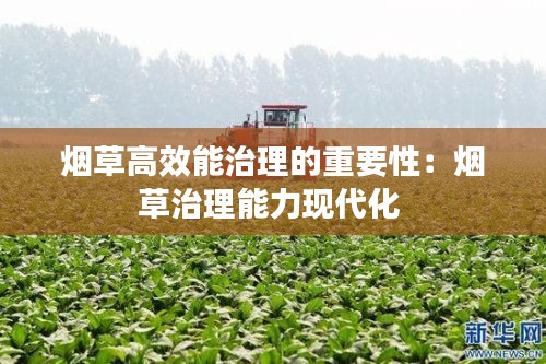 紫色蛙声 第4页