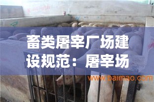 畜类屠宰厂场建设规范:屠宰场建设方案