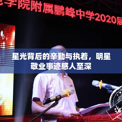 星光背后的辛勤与执着,明星敬业事迹感人至深