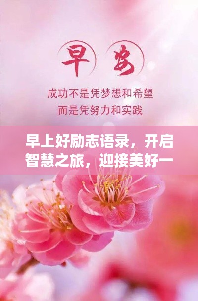 纲挈目张 第3页
