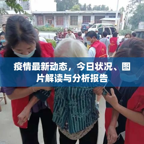 疫情最新动态,今日状况、图片解读与分析报告