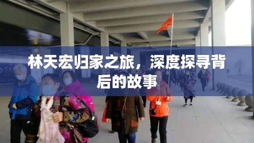 林天宏归家之旅,深度探寻背后的故事