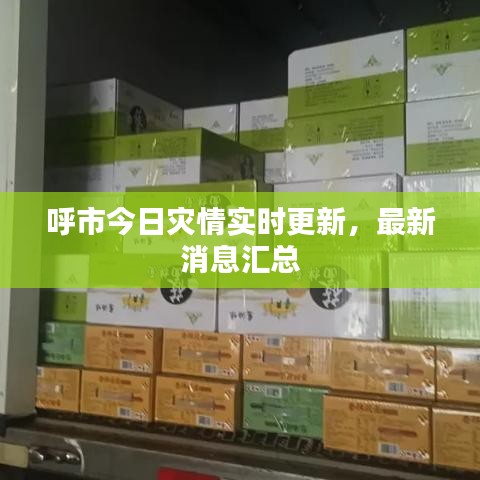 呼市今日灾情实时更新,最新消息汇总