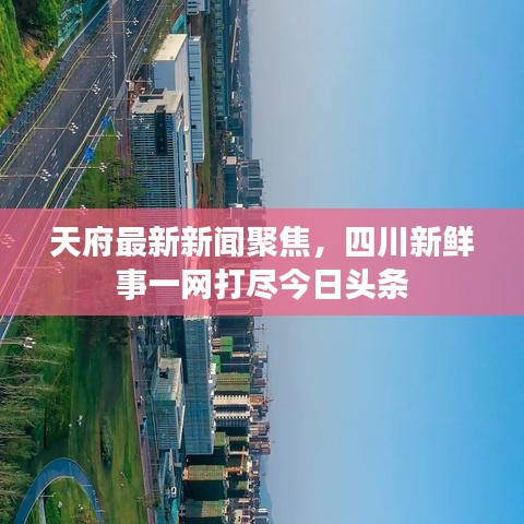 朝乾夕惕 第4页