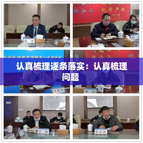 认真梳理逐条落实:认真梳理问题