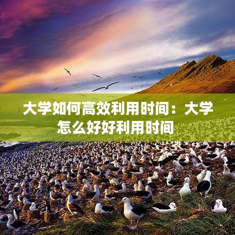 大学如何高效利用时间:大学怎么好好利用时间