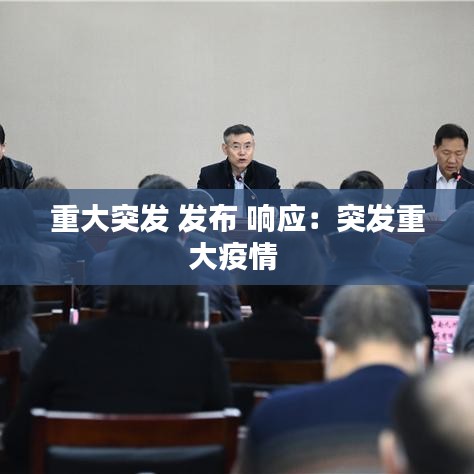 重大突发 发布 响应:突发重大疫情