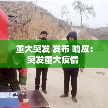 重大突发 发布 响应:突发重大疫情