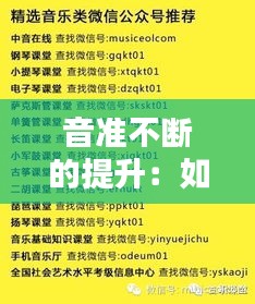 音准不断的提升:如何提升音准能力