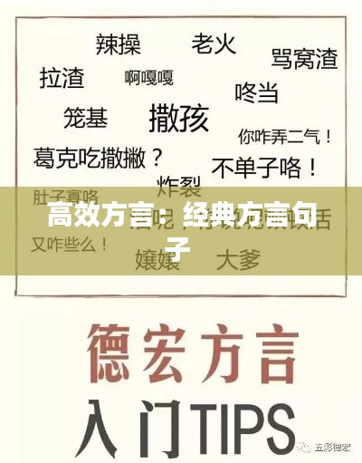 高效方言:经典方言句子