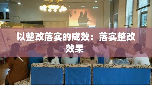 以整改落实的成效:落实整改效果