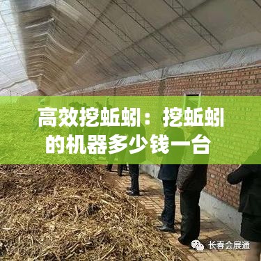 高效挖蚯蚓:挖蚯蚓的机器多少钱一台