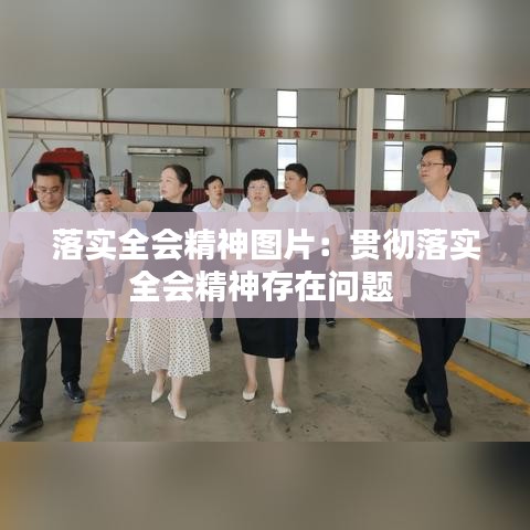 落实全会精神图片:贯彻落实全会精神存在问题