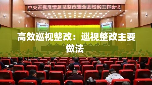 高效巡视整改:巡视整改主要做法