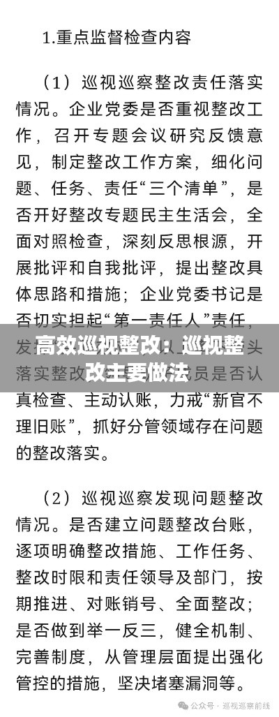 高效巡视整改:巡视整改主要做法