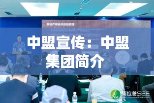 中盟宣传:中盟集团简介