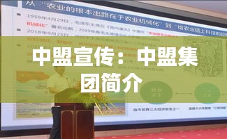 中盟宣传:中盟集团简介