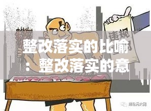 整改落实的比喻:整改落实的意思
