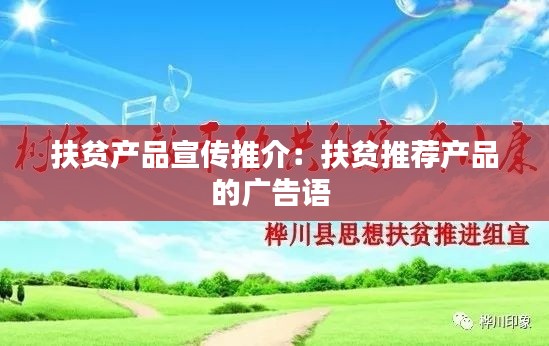 扶贫产品宣传推介:扶贫推荐产品的广告语