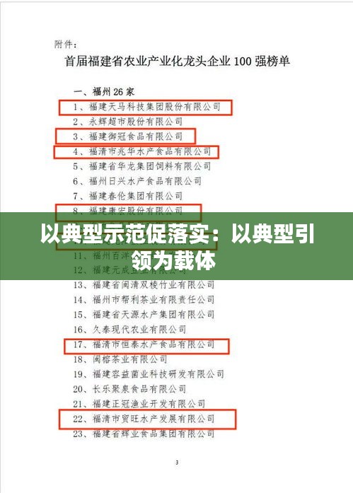 以典型示范促落实:以典型引领为载体