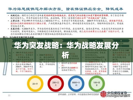 华为突发战略:华为战略发展分析