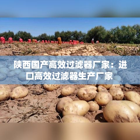 陕西国产高效过滤器厂家:进口高效过滤器生产厂家