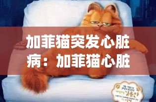 加菲猫突发心脏病:加菲猫心脏肥厚喘息速度突然加快