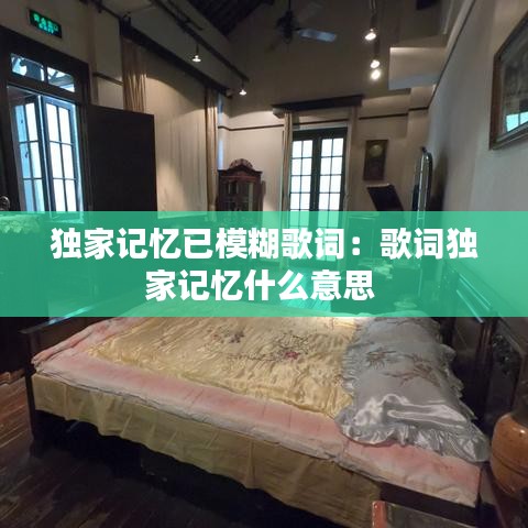 独家记忆已模糊歌词:歌词独家记忆什么意思