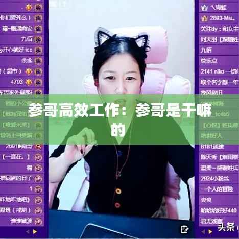 展翅高飞 第4页