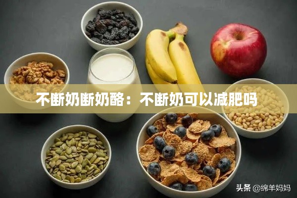 不断奶断奶酪:不断奶可以减肥吗