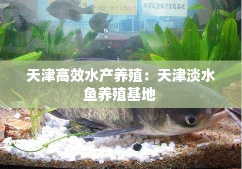 天津高效水产养殖:天津淡水鱼养殖基地