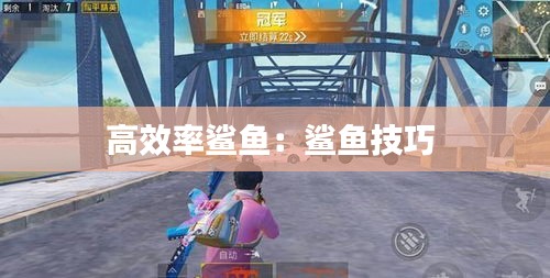 高效率鲨鱼:鲨鱼技巧