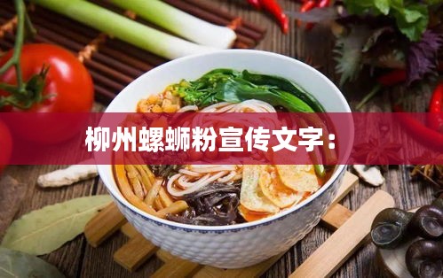 柳州螺蛳粉宣传文字: