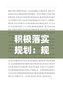 积极落实规划:规划的落实手段