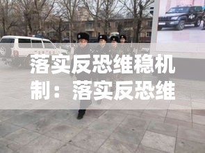 落实反恐维稳机制:落实反恐维稳组合拳方面存在问题
