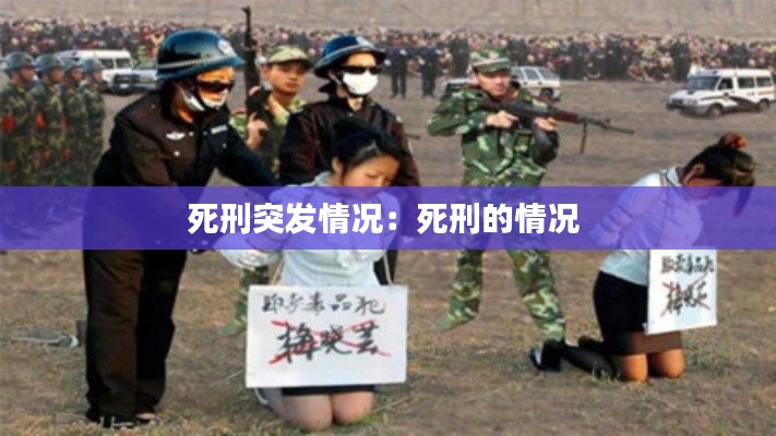 死刑突发情况:死刑的情况