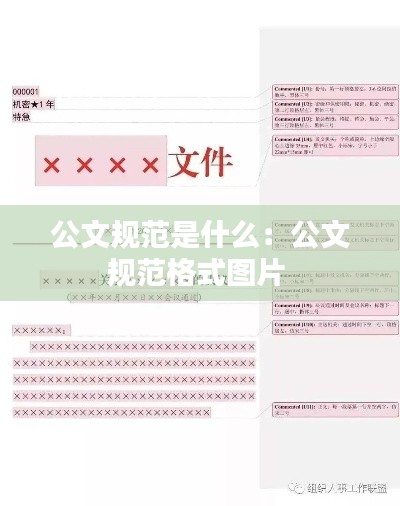 公文规范是什么:公文规范格式图片