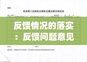 反馈情况的落实:反馈问题意见整改落实方案
