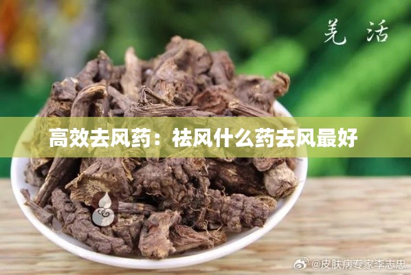 高效去风药:祛风什么药去风最好