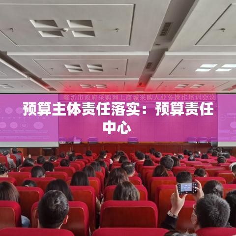 预算主体责任落实:预算责任中心