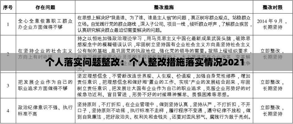 个人落实问题整改:个人整改措施落实情况2021