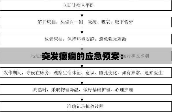 突发癫痫的应急预案: