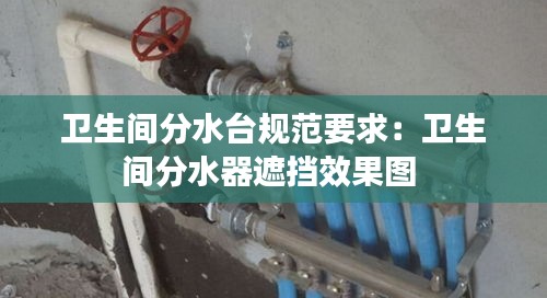 卫生间分水台规范要求:卫生间分水器遮挡效果图