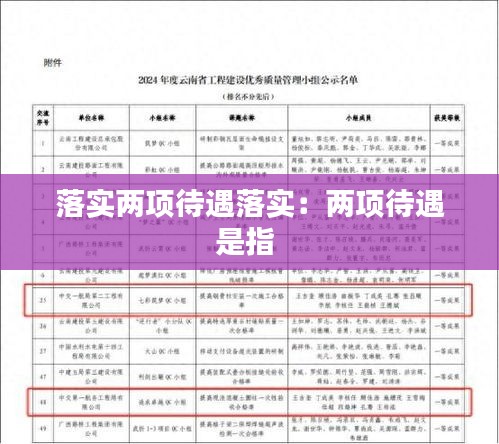 落实两项待遇落实:两项待遇是指