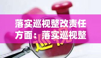 落实巡视整改责任方面:落实巡视整改工作存在的问题和不足