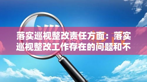 落实巡视整改责任方面:落实巡视整改工作存在的问题和不足